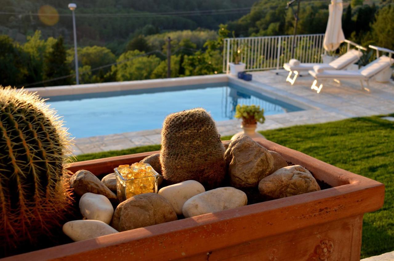 Casa Magnolia Apartment Terricciola Екстериор снимка