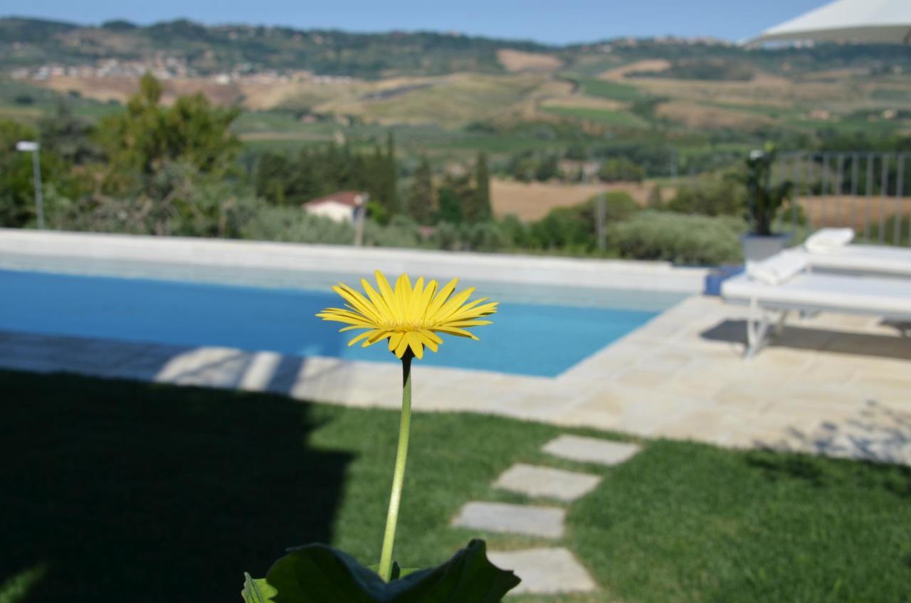 Casa Magnolia Apartment Terricciola Екстериор снимка