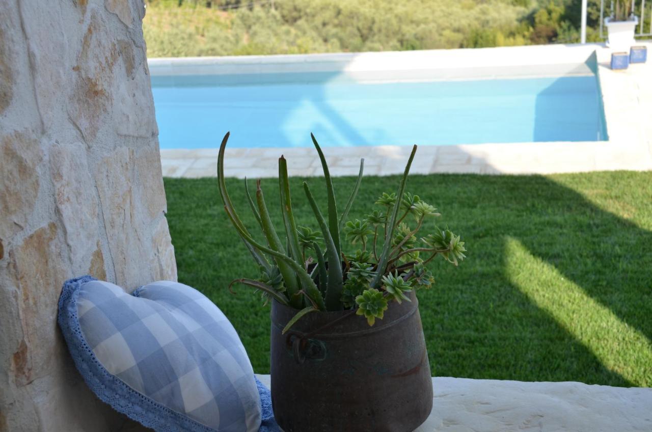 Casa Magnolia Apartment Terricciola Екстериор снимка